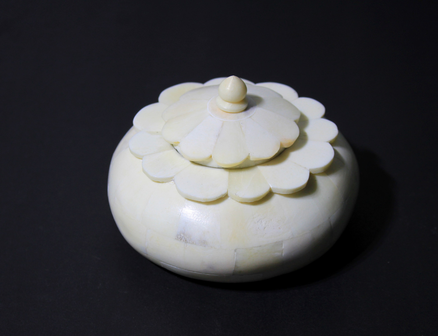 Bone Tobacco Box Plain White