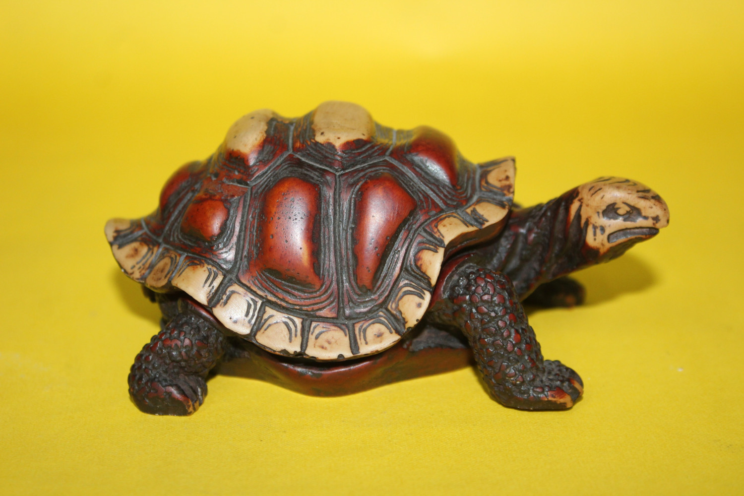 Resin Tortoise Box Plain