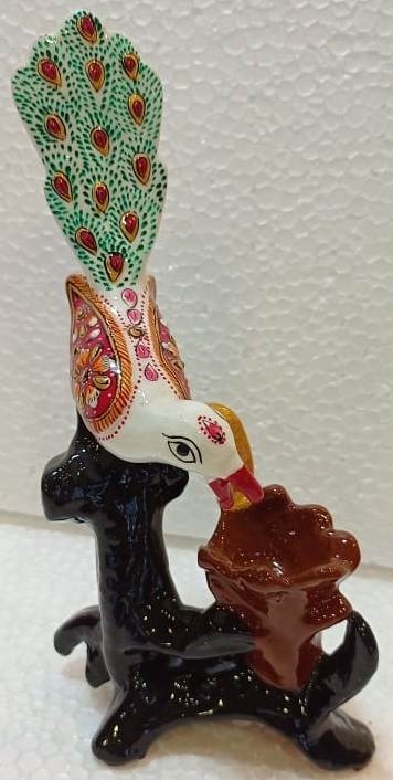 Peacock Drinking Water