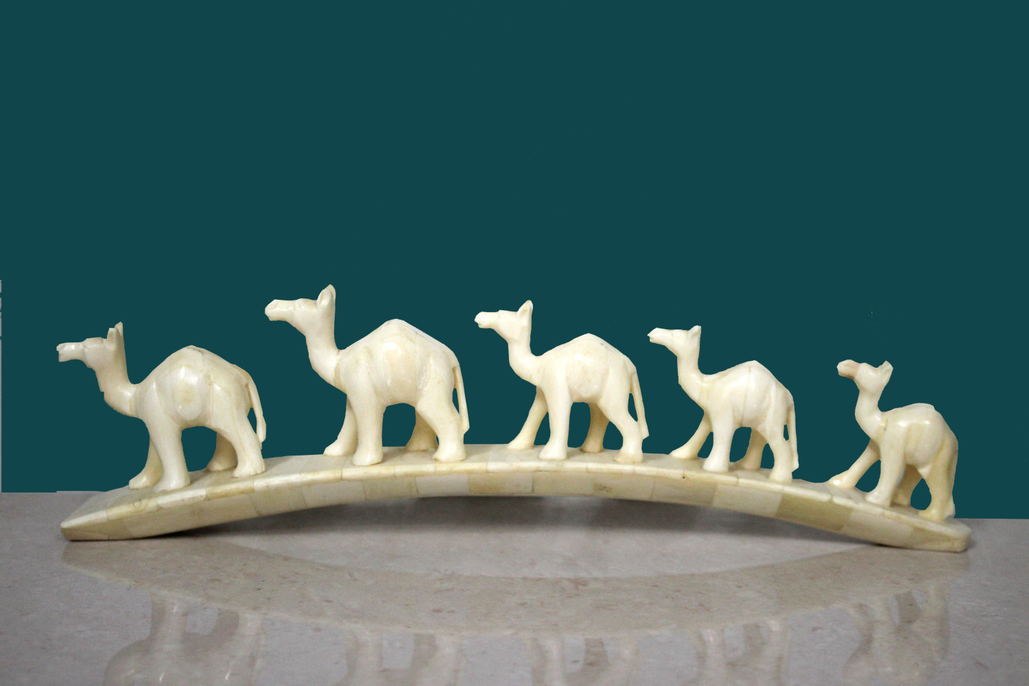 Bone Camel Line Plain 5 in 1